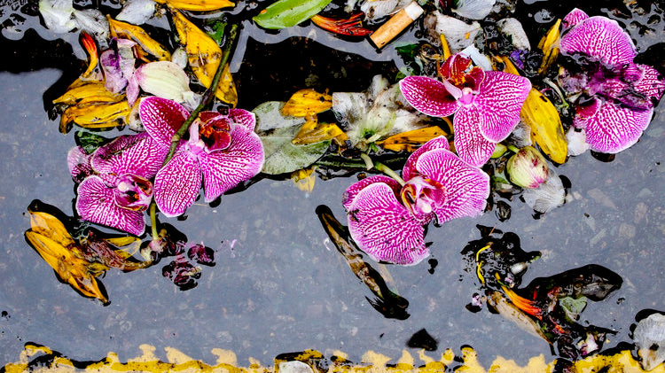 Johanna Neurath for Photography on a Postcard