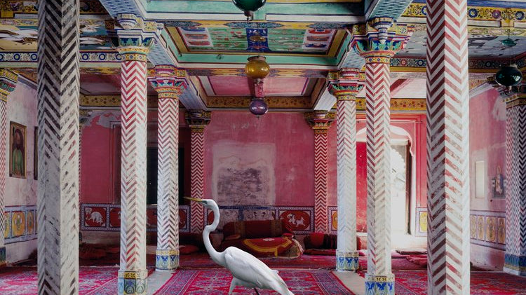 Karen Knorr for Photography on a Postcard