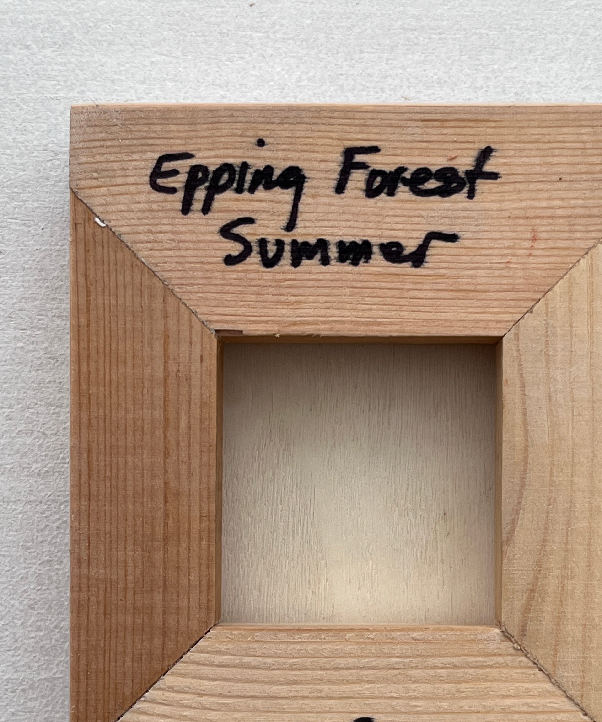 Julie Caves - Epping Forest Summer, original artwork, AOAP Projects x RSA 2026