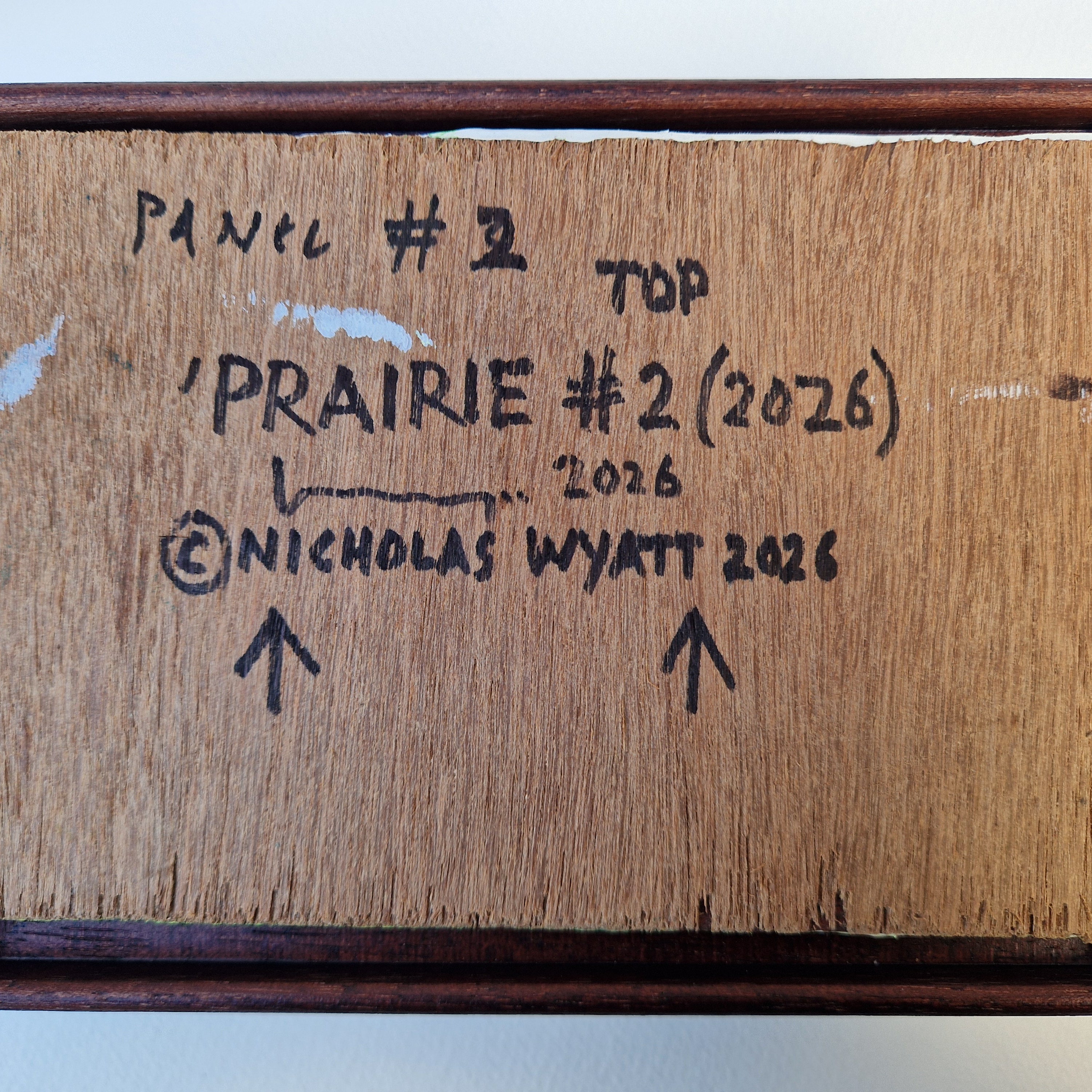 Nicholas Wyatt - Prarie #1, original artwork, AOAP Projects x RSA 2026