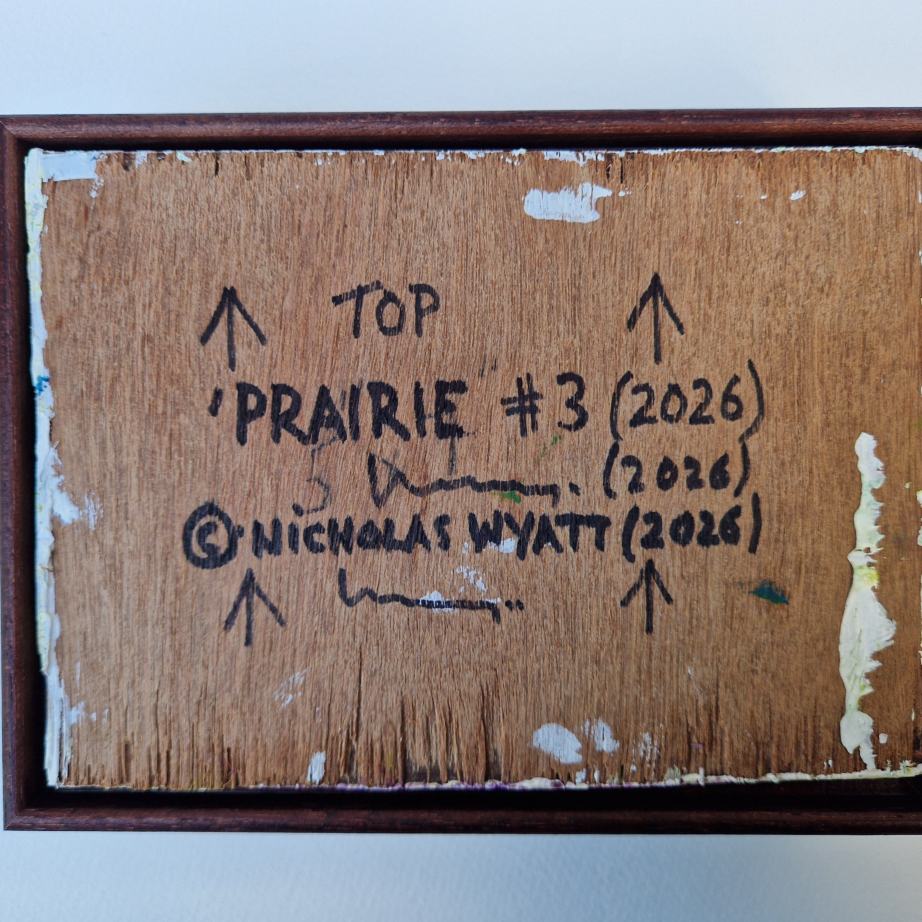 Nicholas Wyatt - Prarie #3, original artwork, AOAP Projects x RSA 2026
