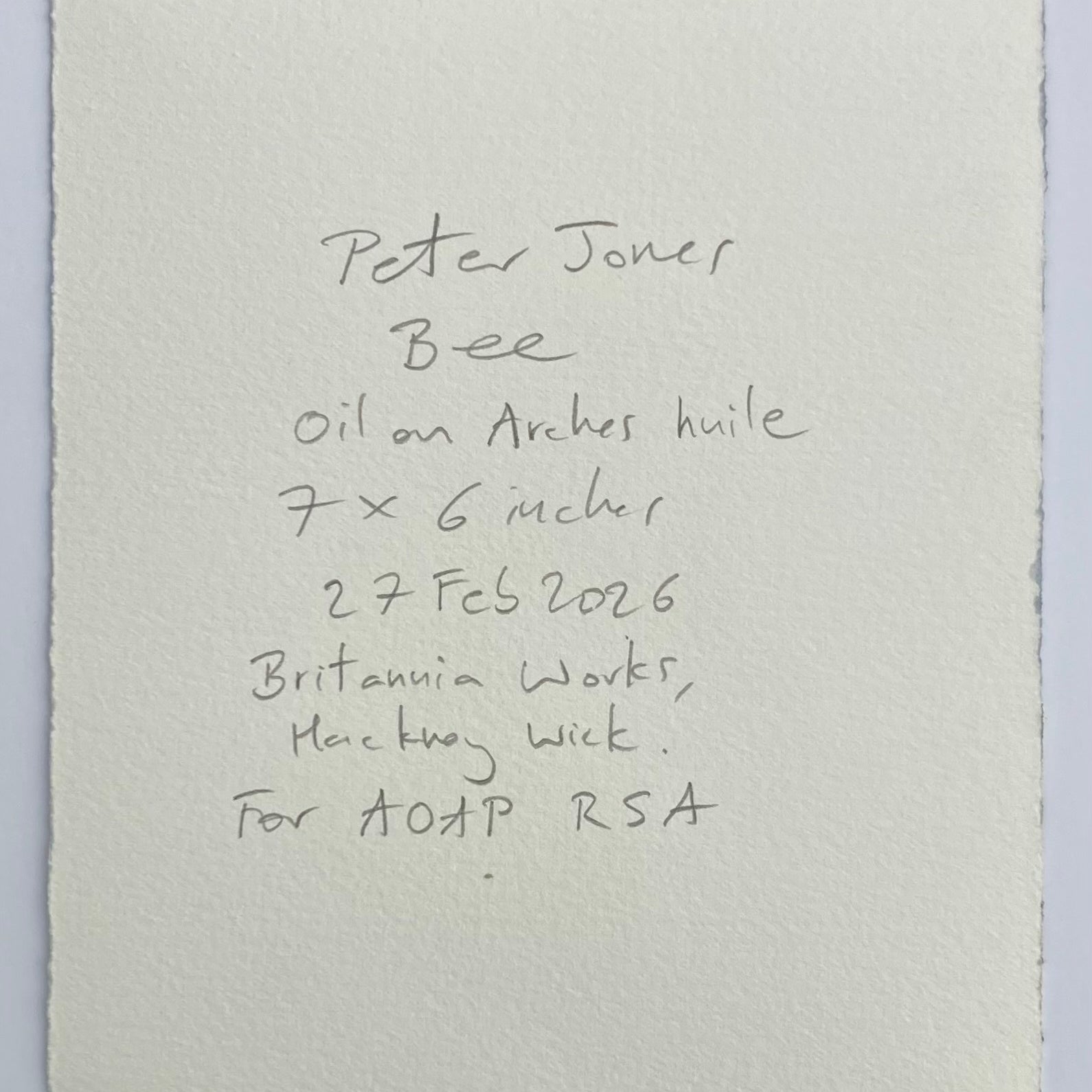 Peter Jones - Bee, original artwork, AOAP Projects x RSA 2026