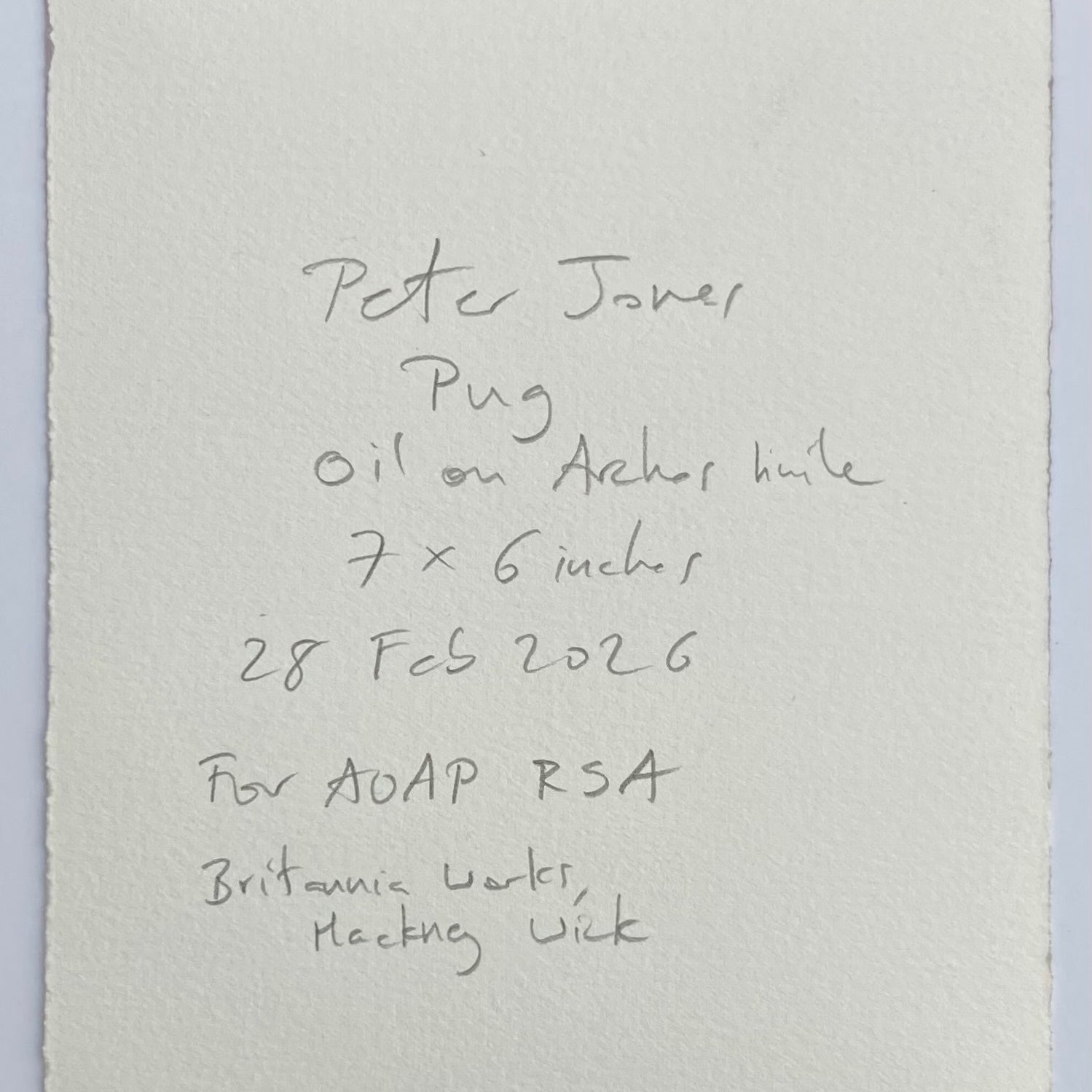 Peter Jones - Pug, original artwork, AOAP Projects x RSA 2026