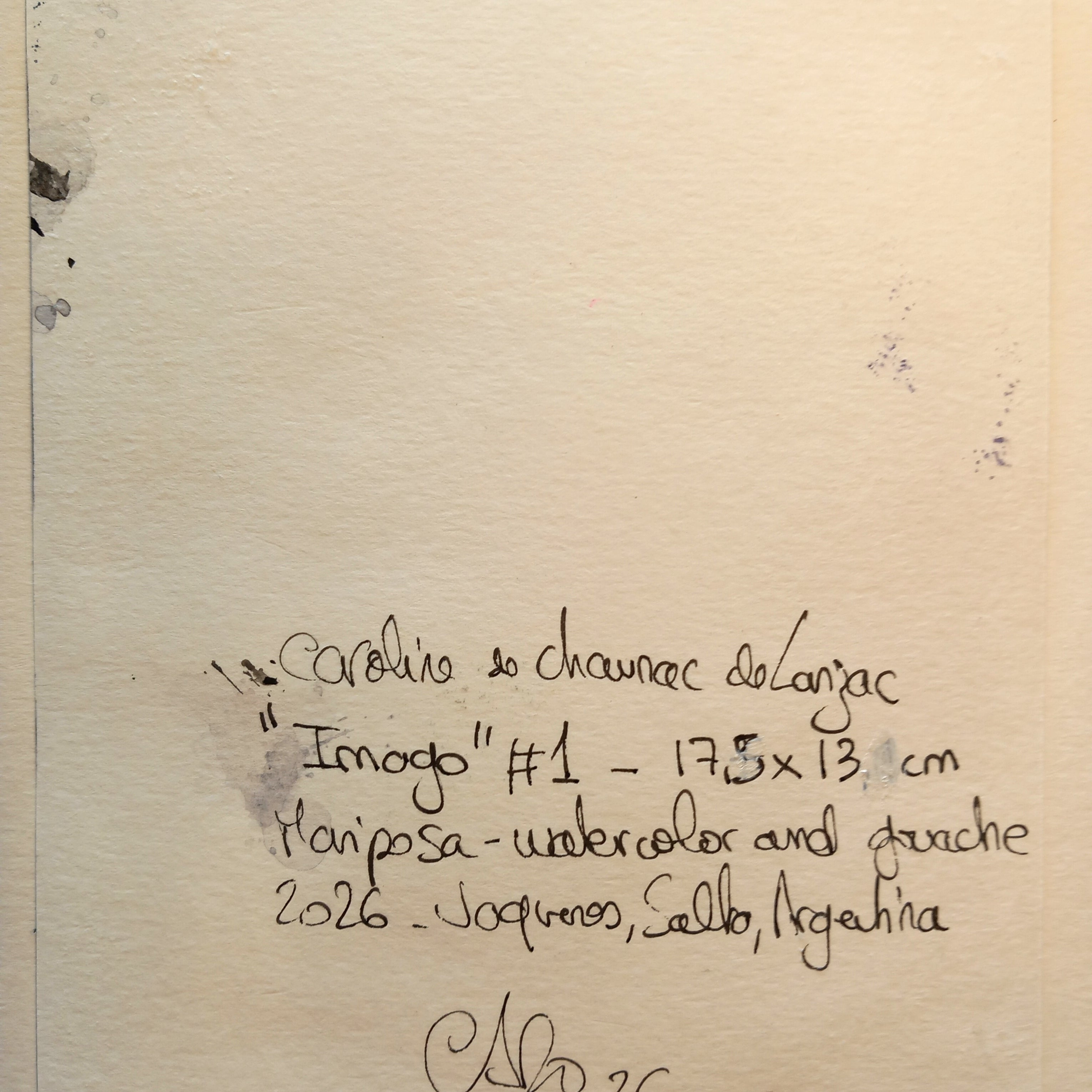 Caroline de Chaunac de Lanzac - Imago - Mariposa, original artwork, AOAP Projects x RSA 2026
