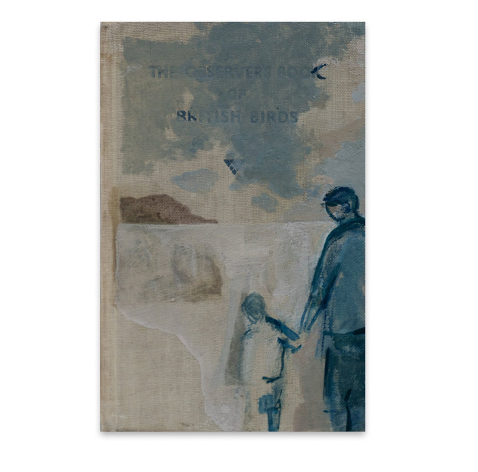 Davina Jackson - The Observer's Book of Birds, original artwork, AOAP Projects x RSA 2026