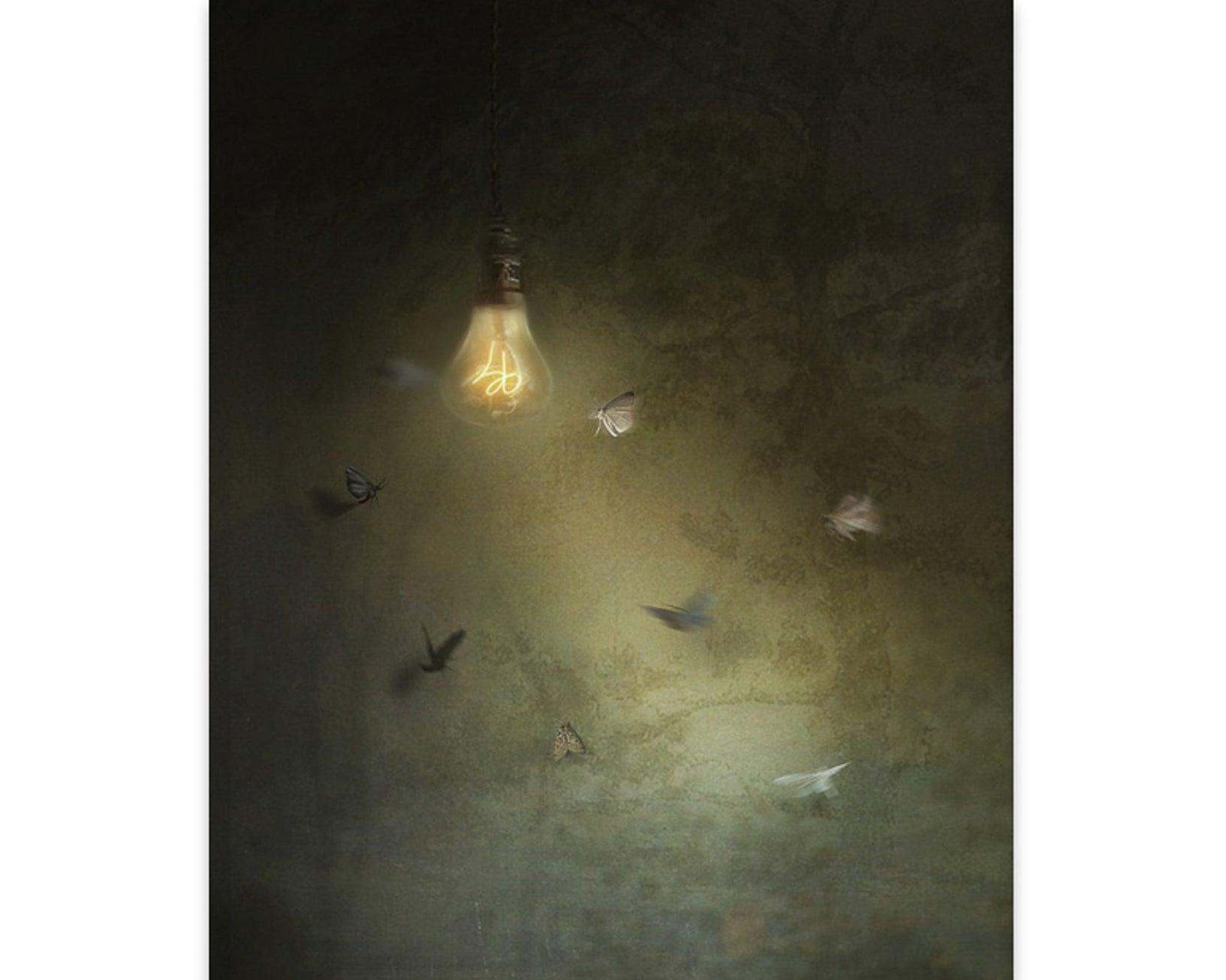 Suzanne Moxhay - Nimbus, original artwork, AOAP Projects x RSA 2026