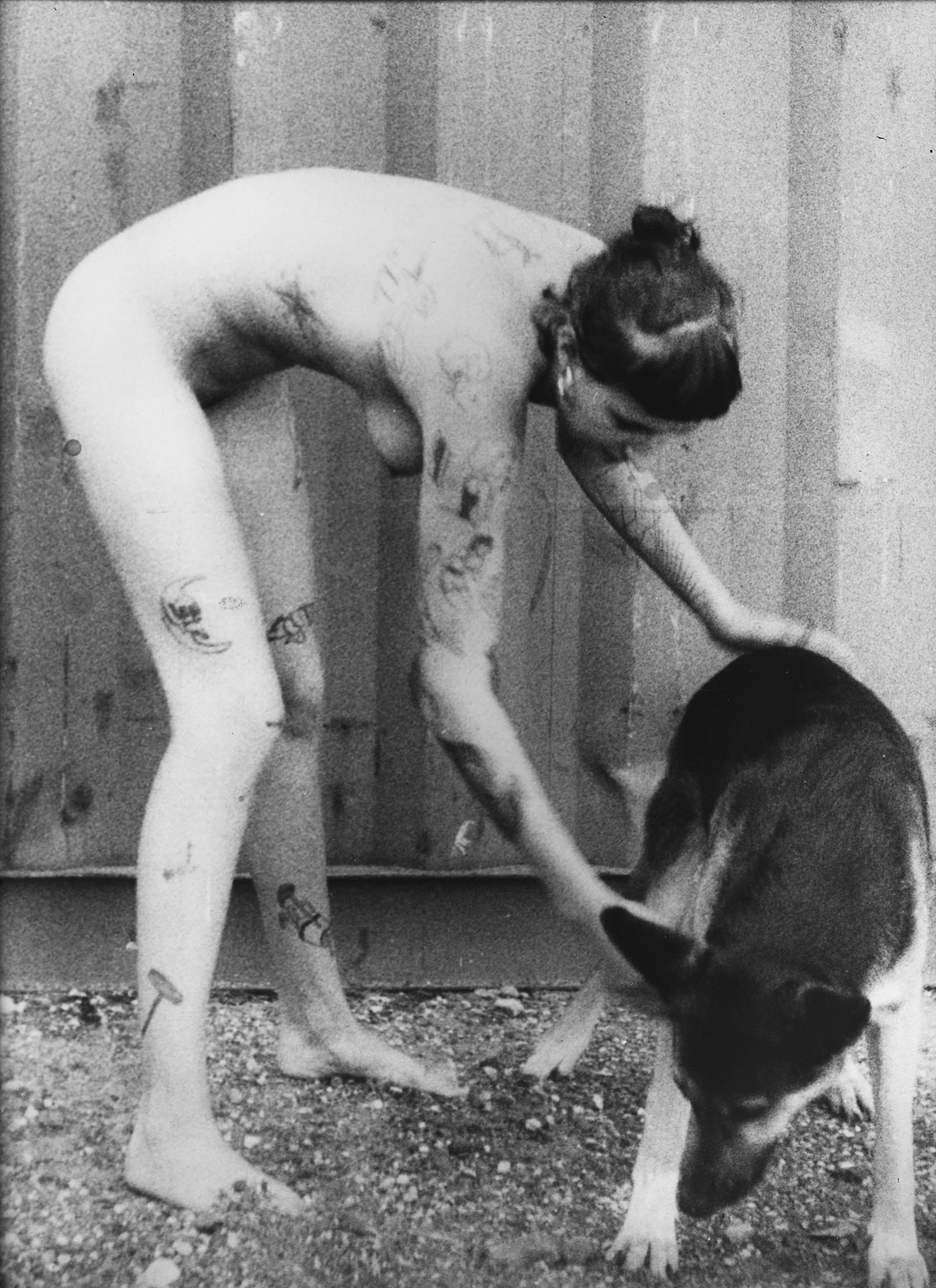 Aviya Wyse for Photography on a Postcard