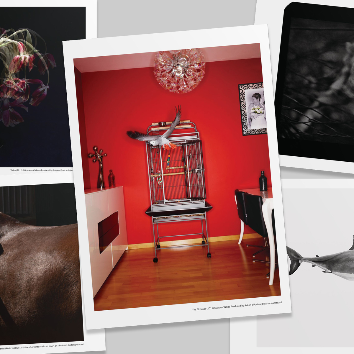 Art on a Postcard | Shop Posters Online – AOAP Projects